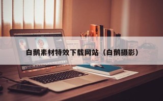 宿迁白鹅素材特效下载网站（白鹅摄影）